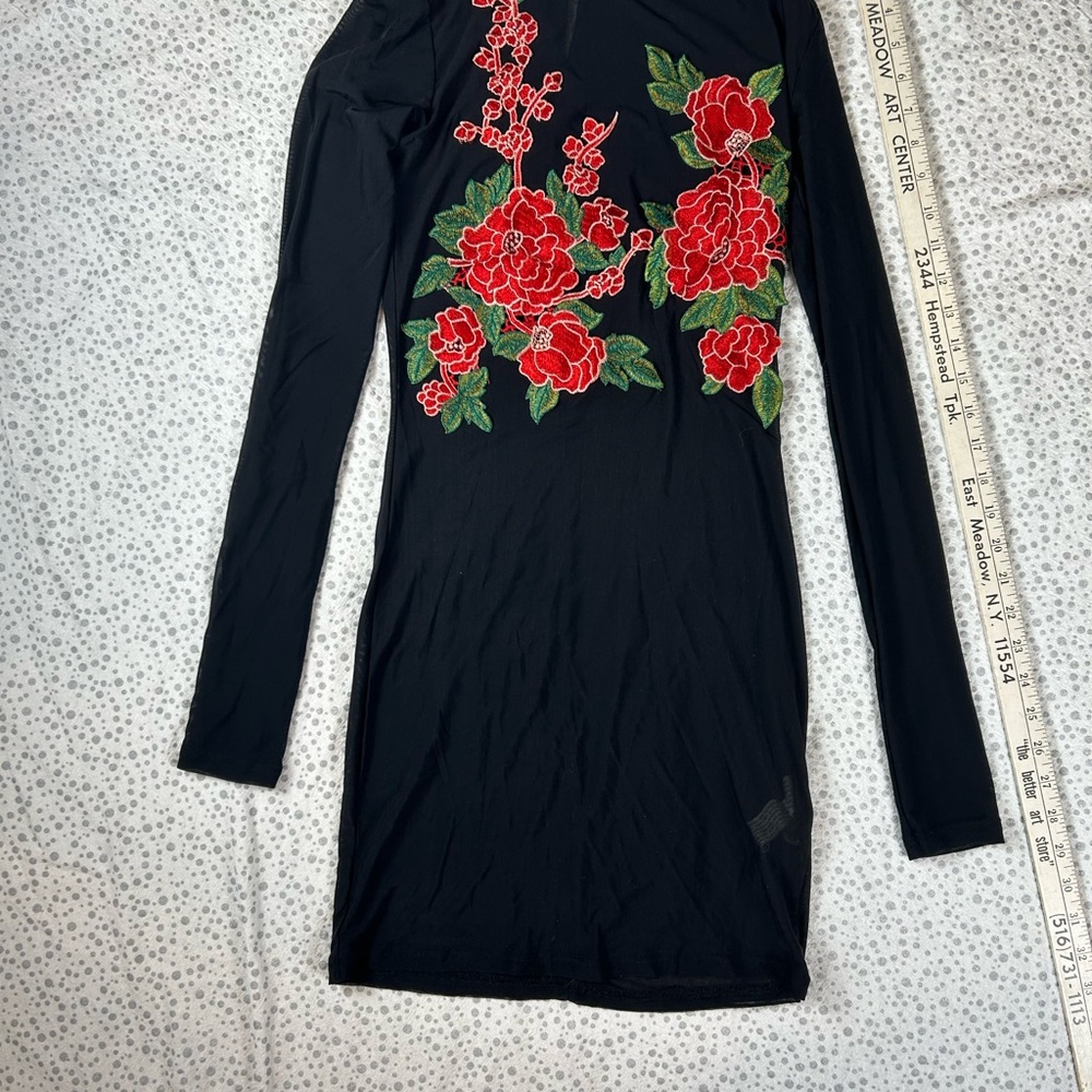 Forever 21 Sheer Black Dress with Red Floral Embroidery